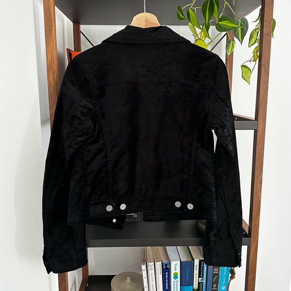 Pilcro and the Letterpress Velvet Denim-style jacket - Picture 3 of 3